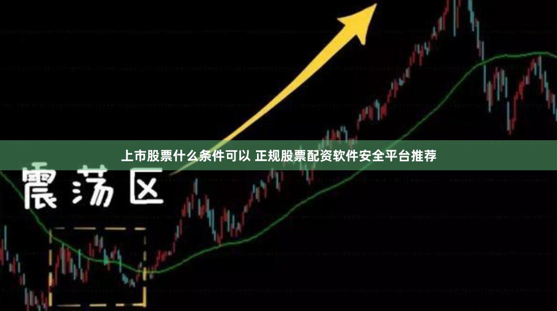 上市股票什么条件可以 正规股票配资软件安全平台推荐